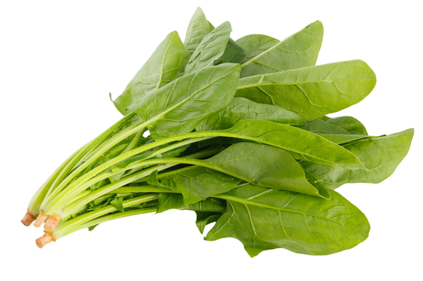 Bayam