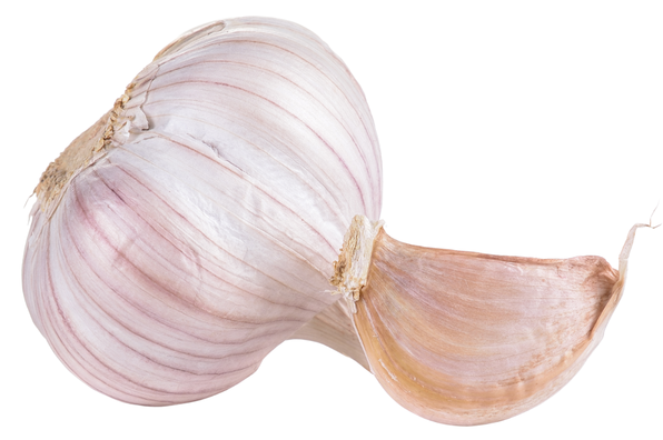 Bawang Putih